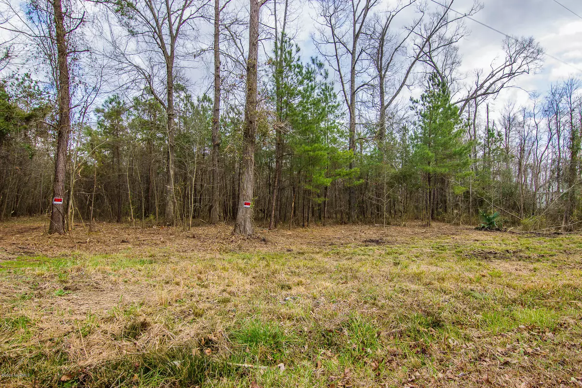 Burgaw, NC 28425,11 Ashton Lake RD