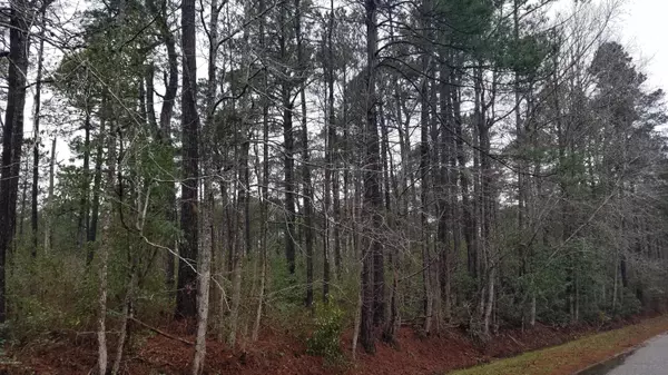 Calabash, NC 28467,399 Boundaryline DR NW