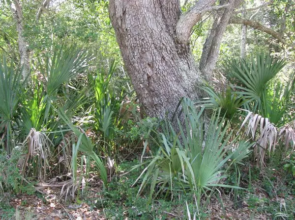 Bald Head Island, NC 28461,544 Chicamacomico WAY