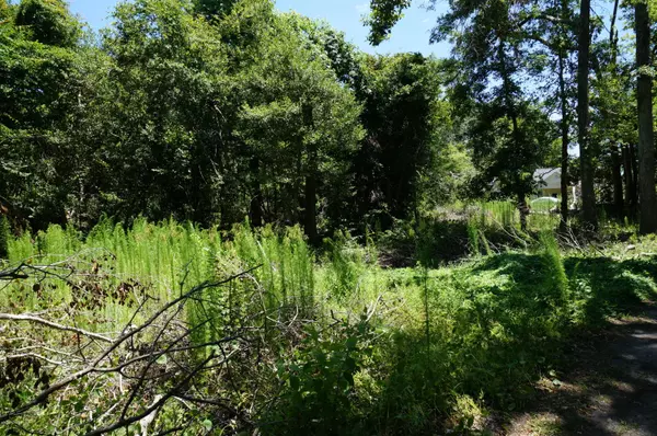 Newport, NC 28570,137 Roosevelt LN