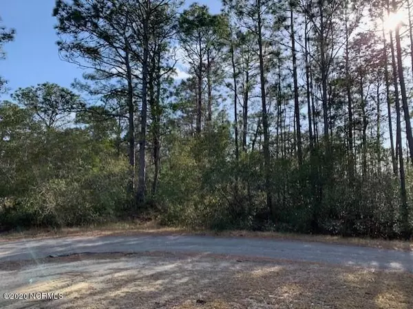 Southport, NC 28461,177 Sec 31 Boiling Spring Lakes