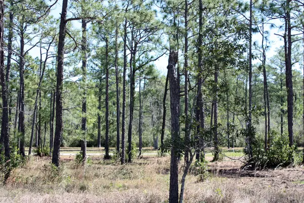 Ocean Isle Beach, NC 28469,6675 Summerhill GLN SW