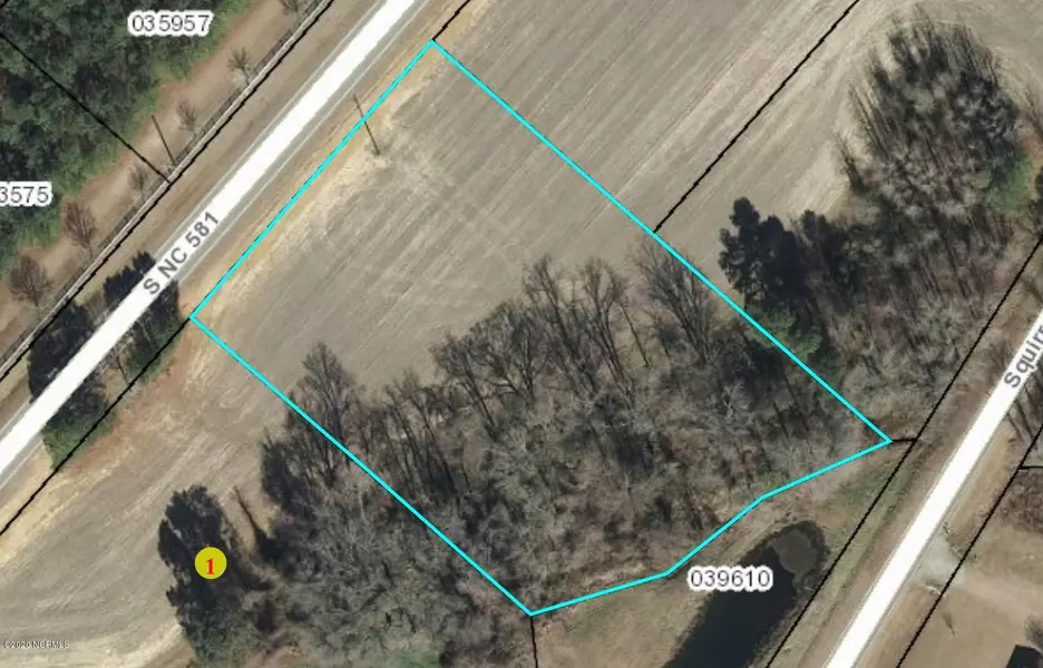 Lot 2 Nc Hwy 581, Bailey, NC 27807