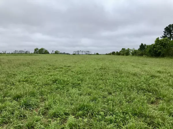 Belhaven, NC 27810,1215 Lake RD