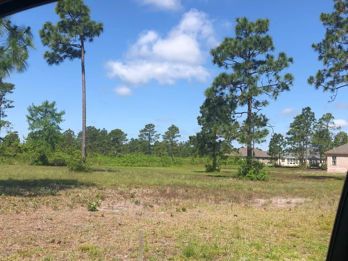 Leland, NC 28451,8629 Hammocks Cove TRL NE