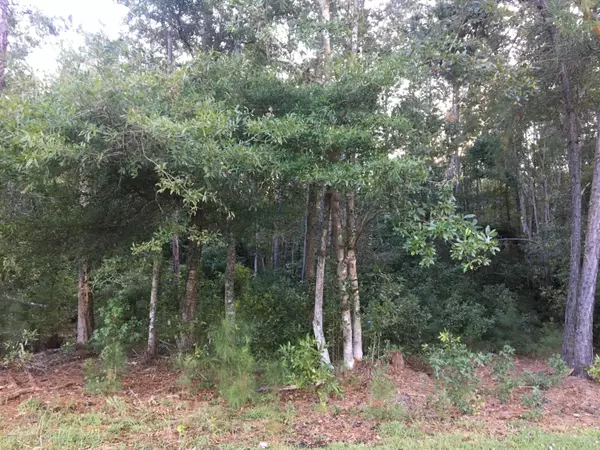 Calabash, NC 28467,184 Bayyard CT NW