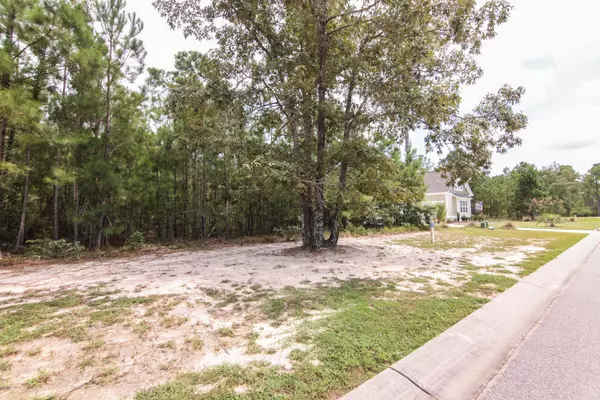 Leland, NC 28451,3817 Silver Melon Road NE