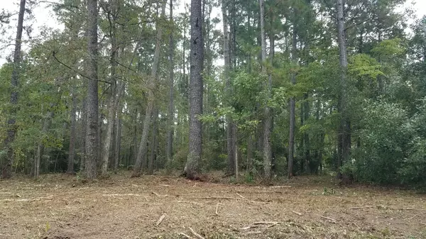 434 Sandlewood DR NW, Calabash, NC 28467