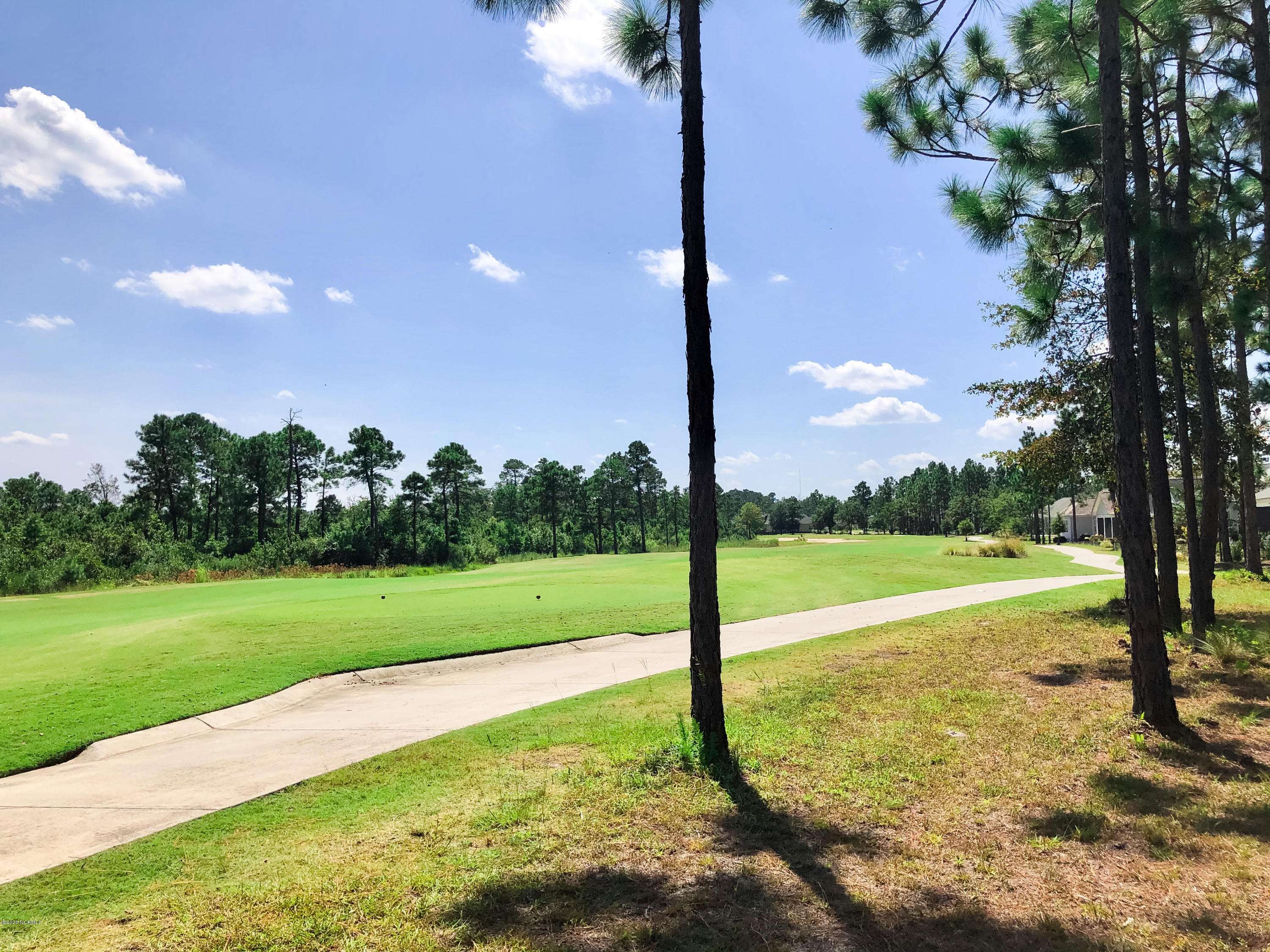 Leland, NC 28451,2353 Red Birch TRL NE