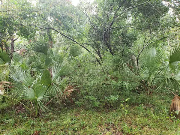 75 Cape Creek Road, Bald Head Island, NC 28461