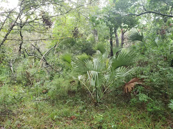 Bald Head Island, NC 28461,75 Cape Creek Road