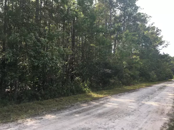 Burgaw, NC 28425,1 N Wright WAY