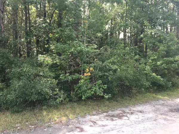 Burgaw, NC 28425,1 N Wright WAY