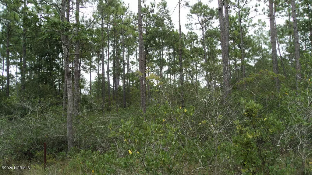 Southport, NC 28461,350 Bordeaux Lane