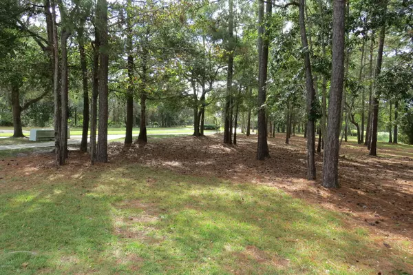 Bolivia, NC 28422,1807 Red Cardinal Lane SE