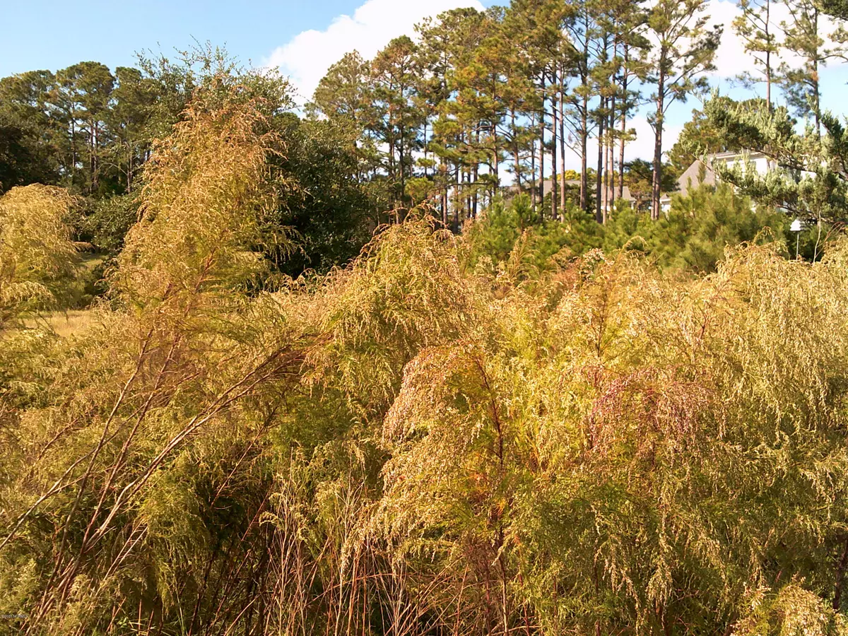 Southport, NC 28461,4773 Fish Factory RD SE