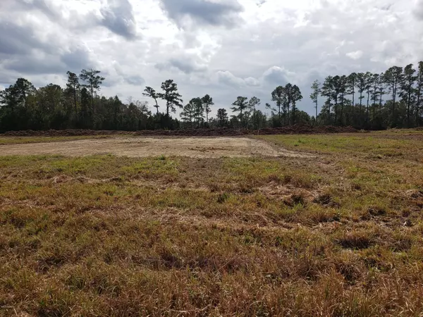 Bolivia, NC 28422,1787 W Crested Hawk CT NE #Lot D13