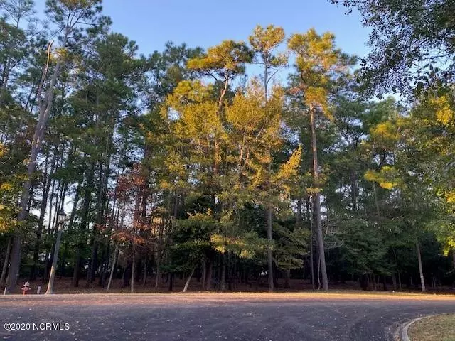 Shallotte, NC 28470,56 Pine Brook Trail