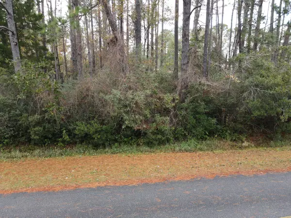 Boiling Spring Lakes, NC 28461,L48 Windemere DR