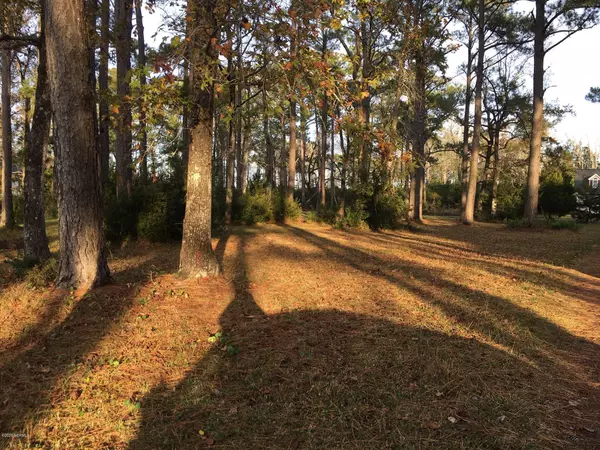 Sea Level, NC 28577,380 Nelson Neck RD