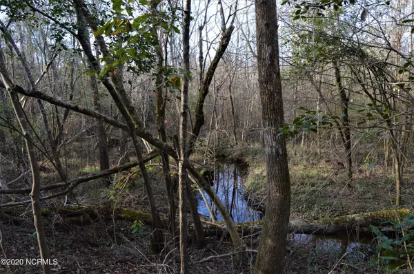 Currie, NC 28435,Lot D Neely LN