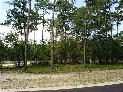 Ocean Isle Beach, NC 28469,580 Lindgrove PL SW