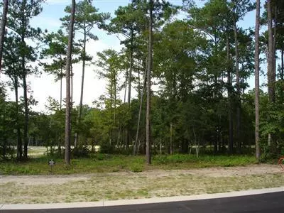 Ocean Isle Beach, NC 28469,580 Lindgrove PL SW