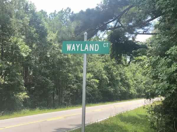 Gloucester, NC 28528,263 Wayland CT