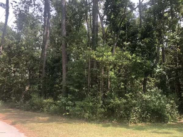 Gloucester, NC 28528,263 Wayland CT