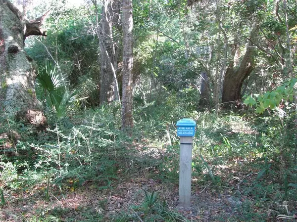 Bald Head Island, NC 28461,6 Partridge Berry Court