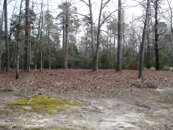 Bolivia, NC 28422,1583 Golden Marsh Court SE