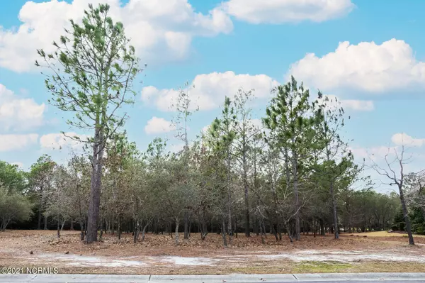 Ocean Isle Beach, NC 28469,6463 Castlebrook WAY SW