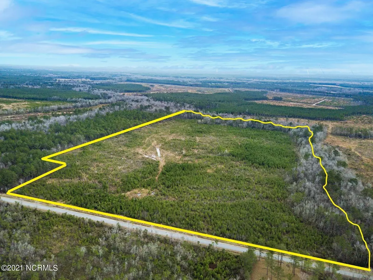 Maple Hill, NC 28454,63ac Hardy Graham RD