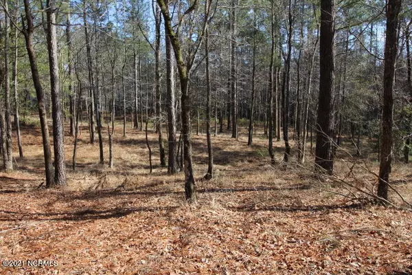 New Bern, NC 28562,3807 Lichen LN