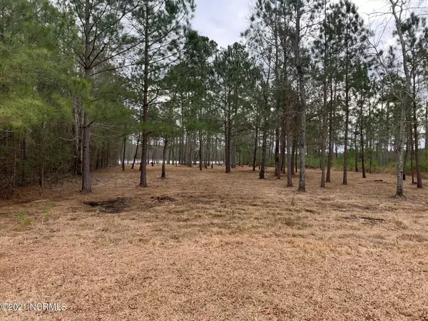 Belhaven, NC 27810,Lot 37 Sunset Point RD