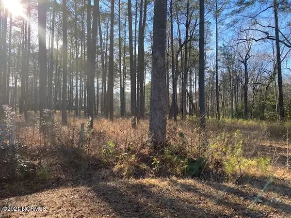 Washington, NC 27889,Lot 141 Mockernut LN