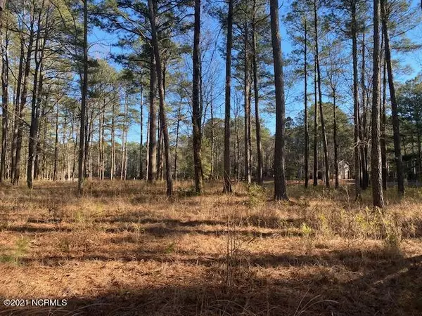 Washington, NC 27889,Lot 141 Mockernut LN