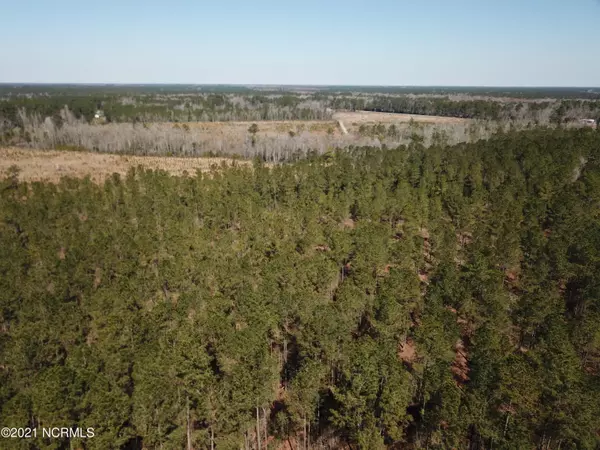 Currie, NC 28435,23161 Nc Highway 210