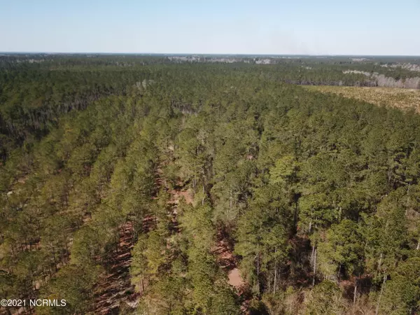 Currie, NC 28435,23161 Nc Highway 210