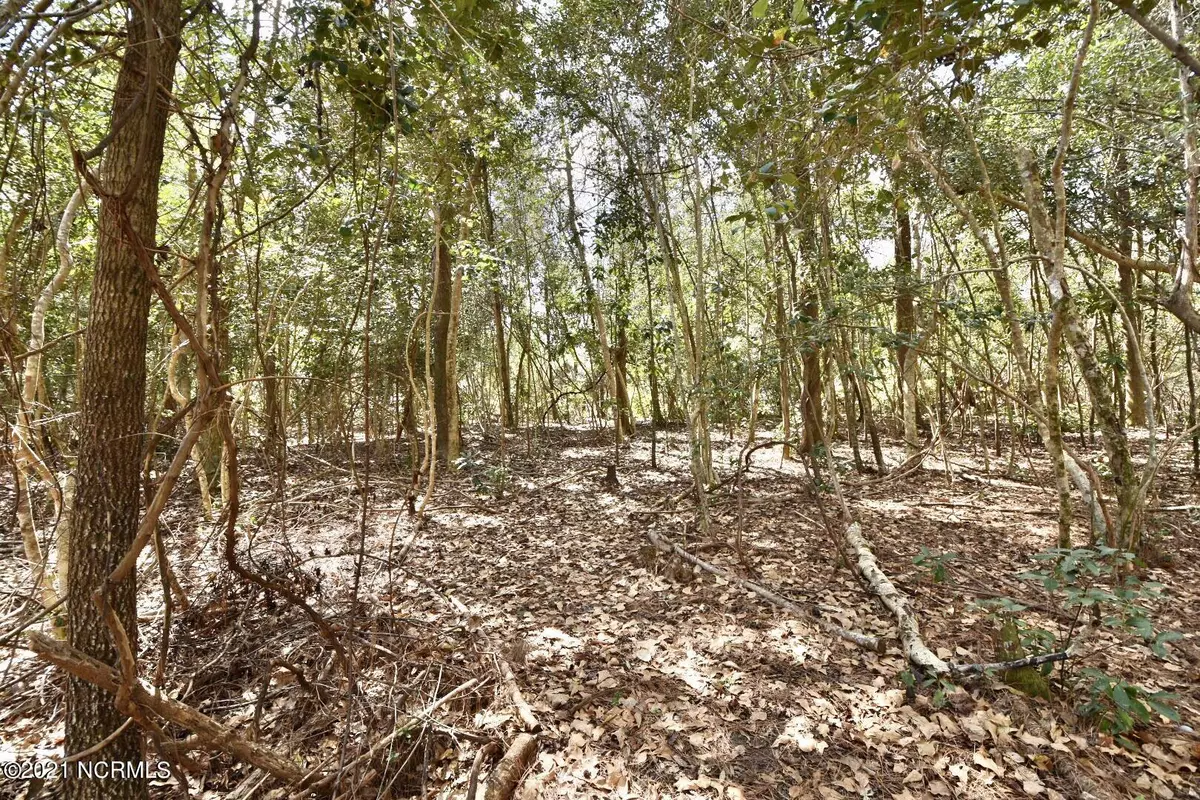 Rocky Point, NC 28457,107 Teel CT