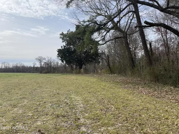 Roper, NC 27970,0 E Mill Pond RD