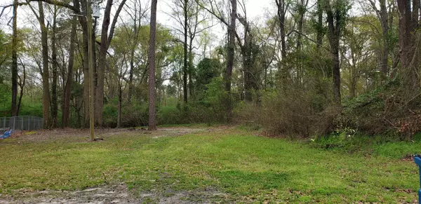 Beulaville, NC 28518,00 Hallsville RD