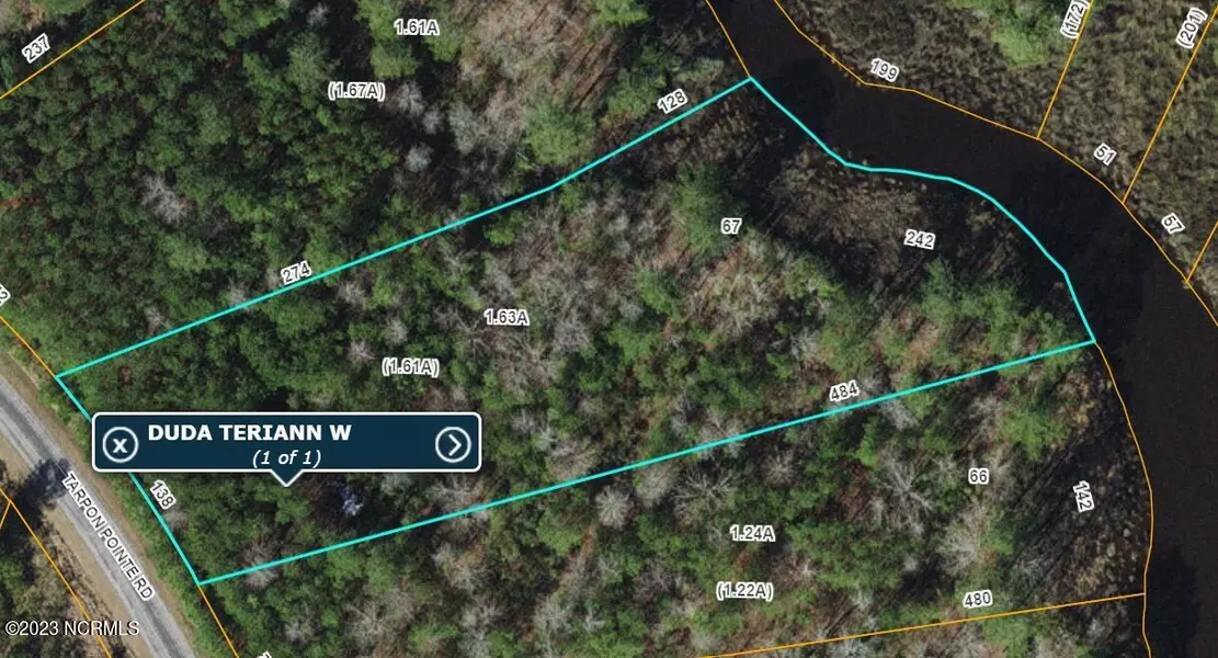 67 Tarpon Pointe, Bath, NC 27808