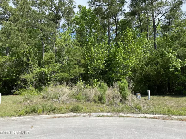 Morehead City, NC 28557,1804 Arctic Tern Court