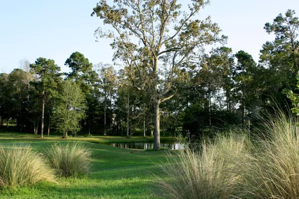 Ocean Isle Beach, NC 28469,491 Dartmoor WAY SW