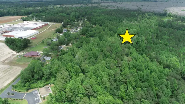 Brunswick, NC 28424,13.2 Acres Mill Pond RD