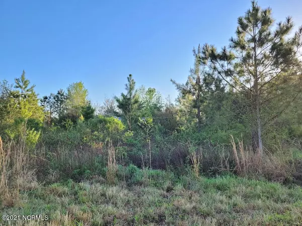 Williamston, NC 27892,1275 Taylor Estate RD