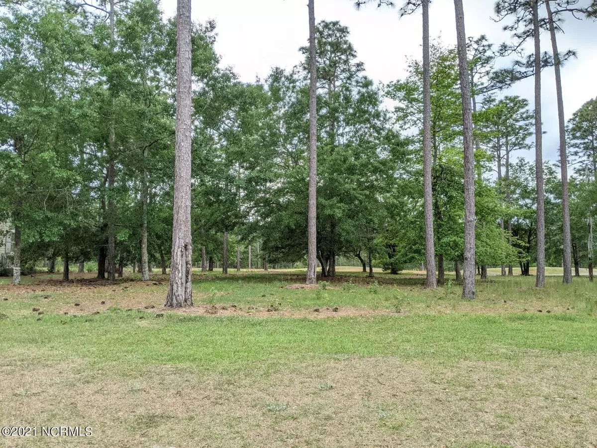 Shallotte, NC 28470,487 Emerald Valley DR