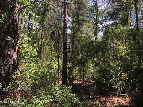 Belhaven, NC 27810,Lot#27 Waterway DR E