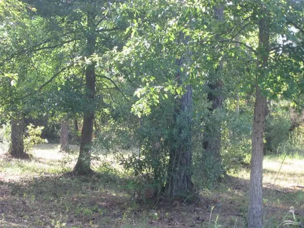 Ocean Isle Beach, NC 28469,729 Highgate PL